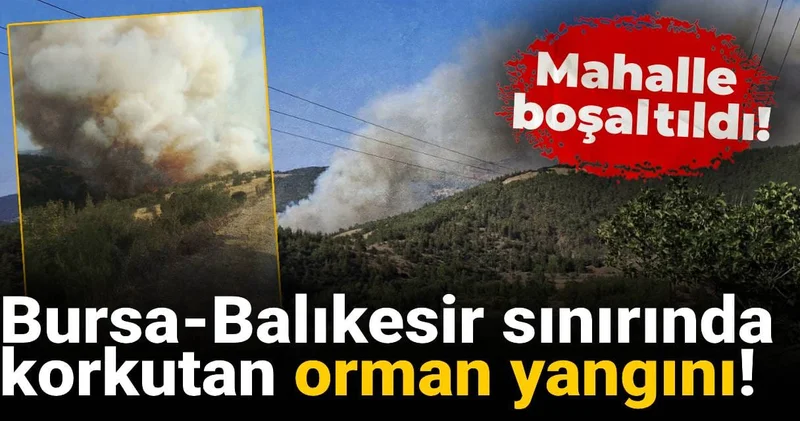 Bursa Balıkesir sınırında korkutan orman yangını! Mahalle boşaltıldı!