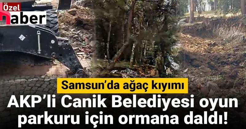 Samsun’da ağaç kıyımı: AKP’li Canik Belediyesi oyun parkuru için ormana daldı!