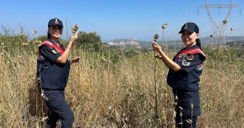 Tülüşah a zarar veren 557 bin lira ceza ödeyecek