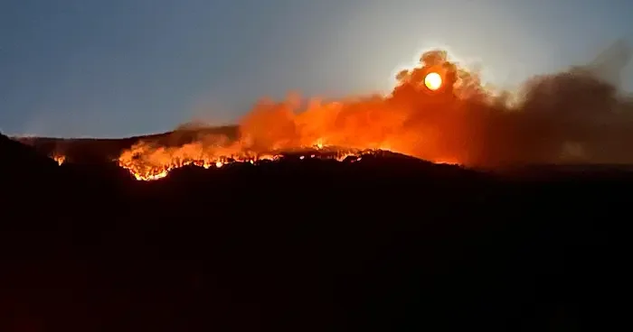 Çankırı da korkutan orman yangını! Rüzgarın etkisiyle hızla yayıldı: Müdahale sürüyor