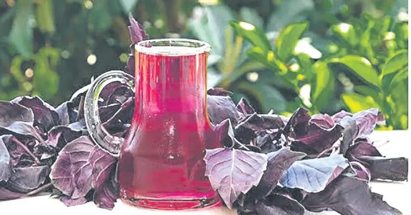 İDİL ÇİMRİN Buz gibi serinlik