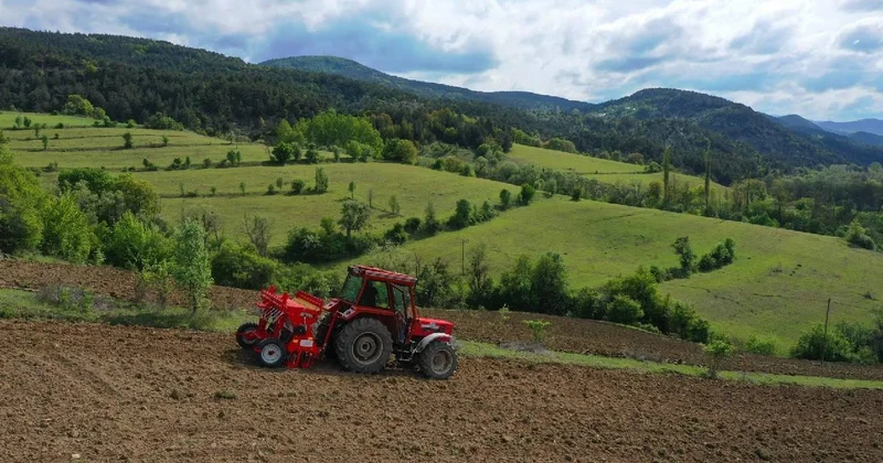Çiftçilere 865 milyon liralık destekleme ödemesi bugün yapılacak