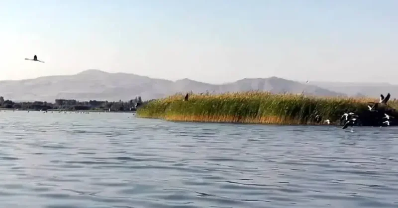 Van Gölü çekilince iki mahalle arası mesafe 1 km’ye düştü