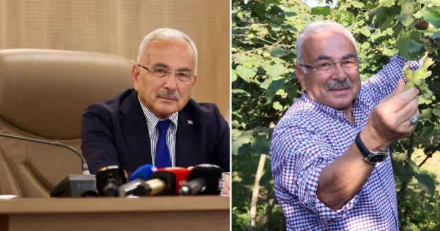 Fındık için savaşıyor Aktüel Haberleri