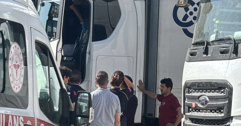 Tır şoförü aracında ölü bulundu