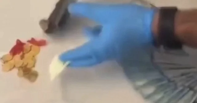 FETÖ’nün güncel finans yapılanmasına yönelik soruşturmada 16 gözaltı kararı VİDEO İZLE