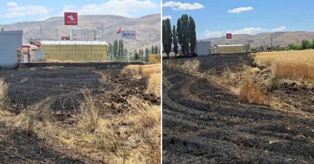 Elazığ da bir tarlada bilinmeyen nedenle yangın çıktı: 23 dönüm buğday kül oldu Elazığ Haberleri