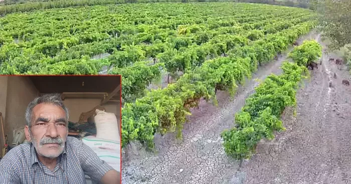 Hırsızlara karşı kamera koydu, görüntüyü izleyince inanamadı!
