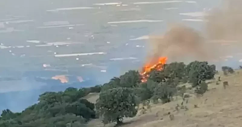 Manisa’da tarladaki yangın, makiliğe sıçradı