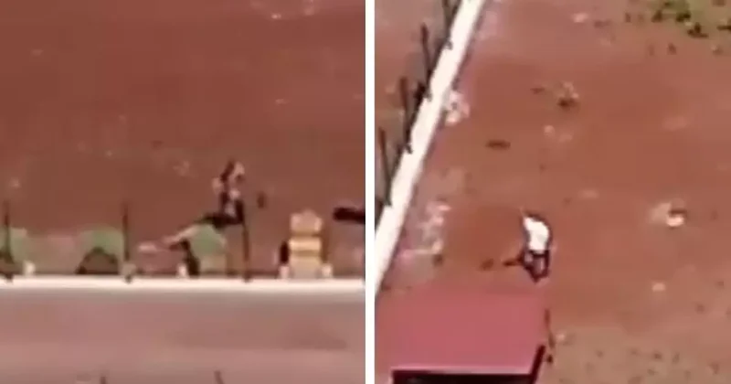 Kars taki köpeklere şiddet görüntülerine jet soruşturma