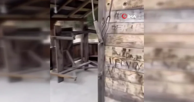 Yayla evlerinden sonra bungalovlara dadandılar: Rize de ayı krizi