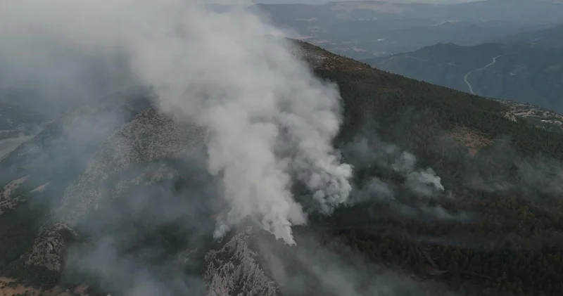 Sinop’taki orman yangınında soğutma çalışmaları sürüyor