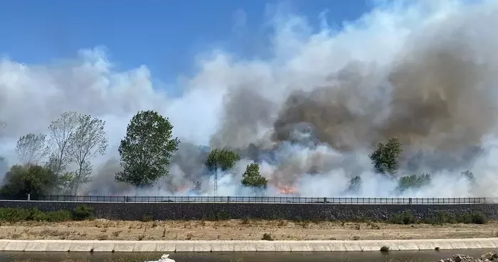 Çanakkale güzelyalı da orman yangını: Boğaz trafiğe kapatıldı, tahliyeler başladı