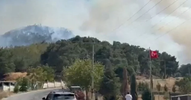 Manisa Soma da orman yangını çıktı VİDEO İZLE