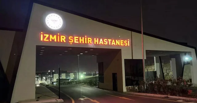 Cinnet getiren anne iki bebeğini bıçakladıktan sonra intihar etti İzmir Haberleri