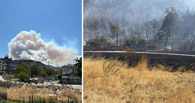 Manisa Soma da çıkan orman yangınına müdahale sürüyor: Kozanlı Mahallesi tahliye edildi, 1 kişi gözaltında