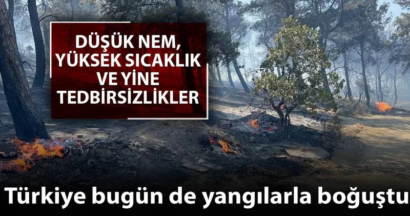 Türkiye bugün de yangınlarla boğuştu: Düşük nem, yüksek sıcaklık ve tedbirsizlikler