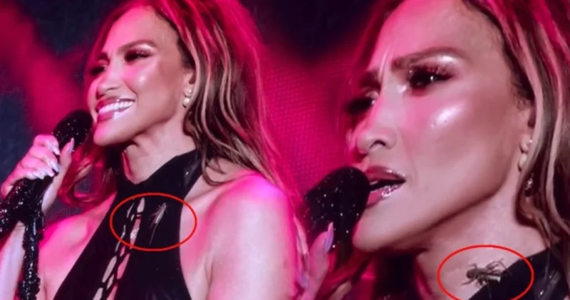Jennifer Lopez sahnede elbisesinin içine giren böcekle mücadele etti magazin haberleri