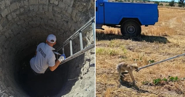 Nevşehir de su kuyusundan gelen sesleri duyan vatandaş tilki için seferber oldu Aktüel Haberleri