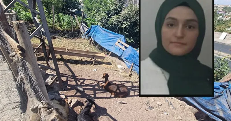Diyarbakır’da kahreden olay: Keçiye dokunan Pervin hayatını kaybetti!