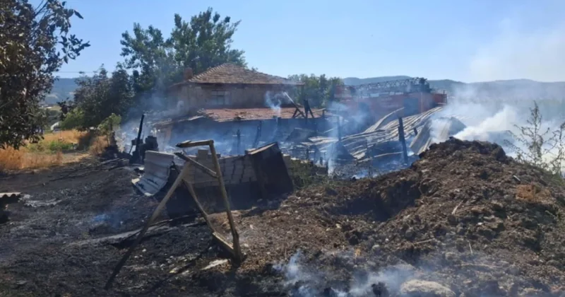 Ahır alev alev yandı: 21 koyun öldü Sözcü Gazetesi