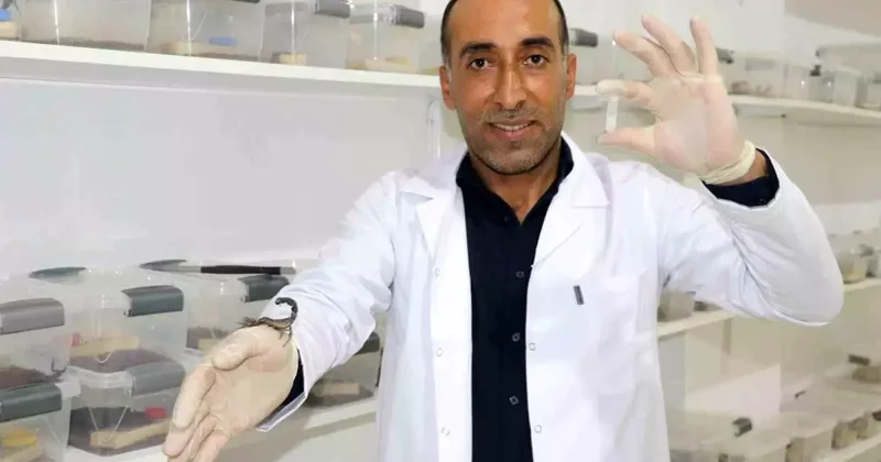Akrep Zehri Üretimiyle Türkiye yi Avrupa ya Yarıştıracak