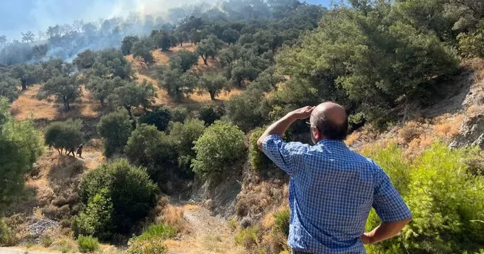 Aydın da zirai alan yangını: 30 dönüm alan zarar gördü