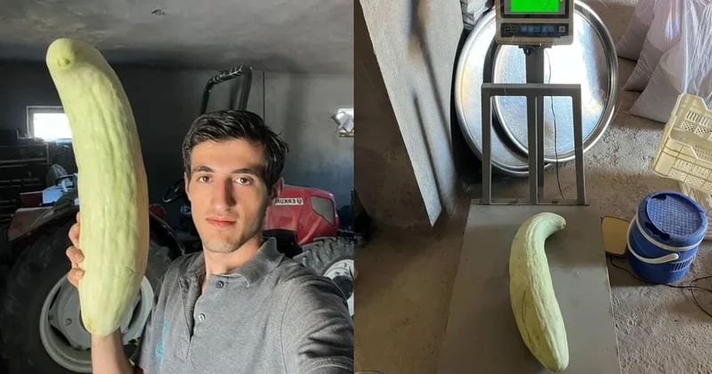 Kimse gözlerine inanamadı! Tam 4,5 kilo ağırlığında...