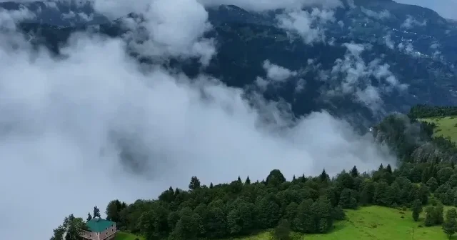 Trabzon’un yükseklerinde sis manzarası: Kadıralak Yaylası büyüledi VİDEO İZLE