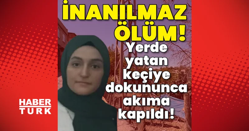 İnanılmaz ölüm! Yerde yatan keçiye dokununca akıma kapıldı! Son dakika haberleri