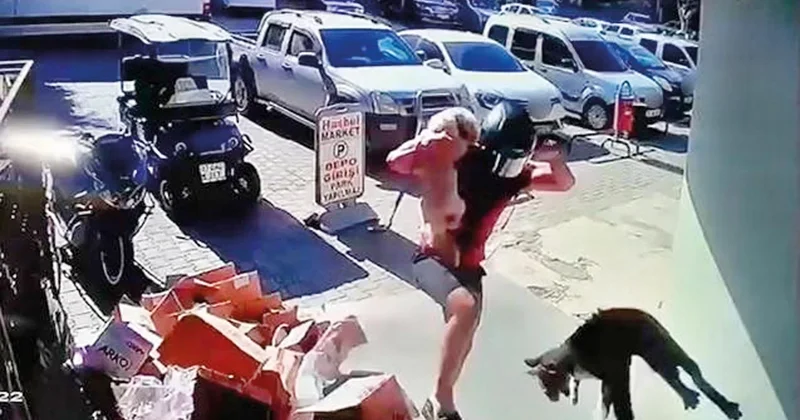 Kediye tekmeye gözaltı
