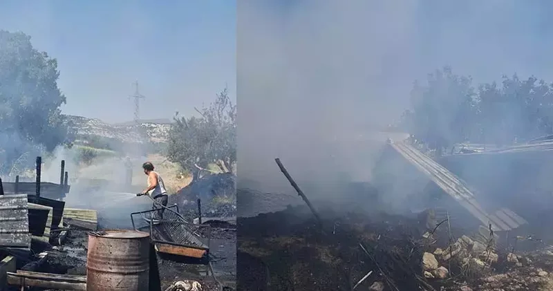 Manisa da ahırda çıkan yangında 21 koyun öldü