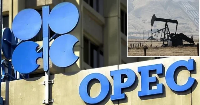 OPEC in ham petrol üretimi ağustosta günlük 478 bin varil arttı Ekonomi Haberleri
