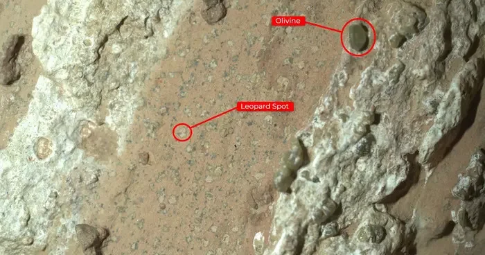 Mars taki kayalarda heyecanlandıran keşif! NASA gezegendeki en net yaşam belirtisi olabilir diye duyurdu