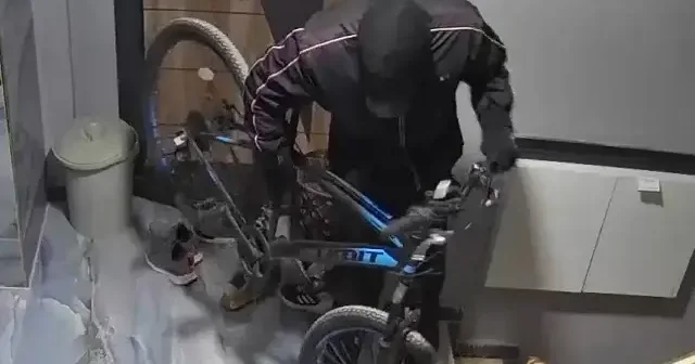 Adana da apartmandan bisikletin çalınması kamerada VİDEO İZLE