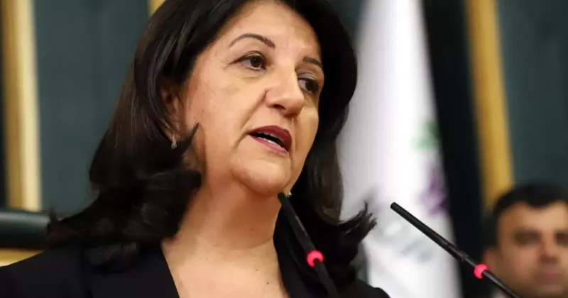 PKK elebaşı Öcalan, bir konudan çok rahatsızmış! Buldan ın da hükümete bir çağrısı var