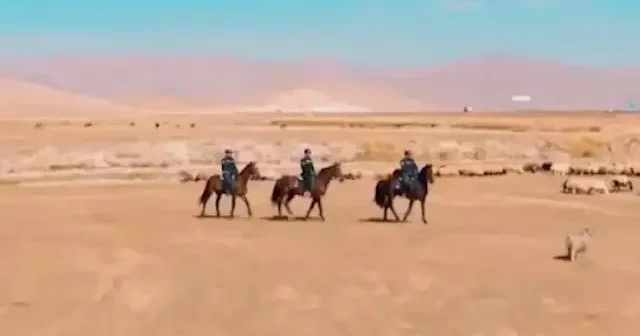 Van Tendürek’te bulunan Zeyn Kalesi nde atlı jandarma devriye attı VİDEO İZLE