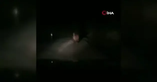 Aç kalan ayılar yollara düştü
