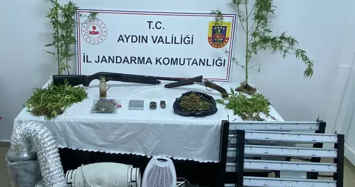 Sera kurup Hint keneviri yetiştirdiler! 2 kişiye gözaltı