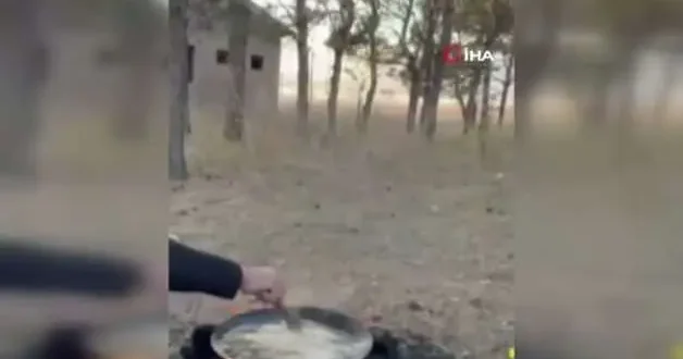 Aç kalan tilki vatandaşların sofrasına misafir oldu