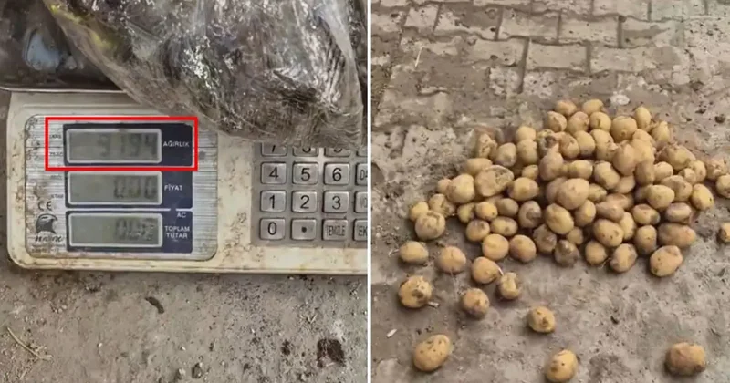 Ahlaksızlıkta son nokta: 22 kiloluk çuvaldan 13 kilo patates çıktı
