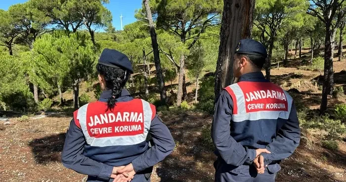 Bu çiçeği koparana 557 bin TL ceza