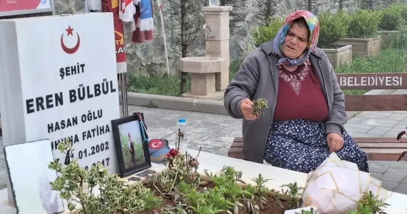 Eren Bülbül ün annesi Ayşe Bülbül, PKK nın silah bırakmasını değerlendirdi: Eren ler şehit edilmesin, hiçbir Ayşe anne ağlamasın diye onay veririm