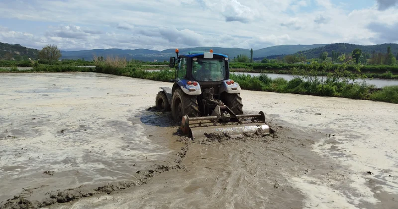 Sinop ta 18 bin dekar alanda çeltik ekimine başlandı