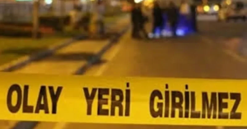 Yaşlı adamı baltayla öldürdü