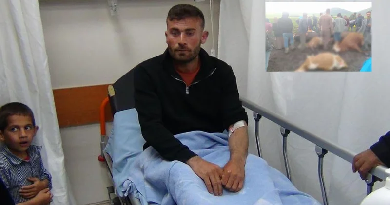 Kars ta sürünün üzerine yıldırım düştü! 2 çoban yaralandı, çok sayıda hayvan öldü