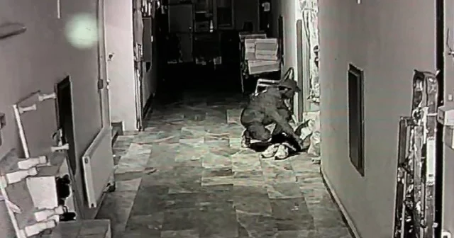 Aksaray’da pişkin hırsızlık kamerada: Koklayıp ayakkabıları seçti beğendiklerini poşetleyip gitti VİDEO İZLE