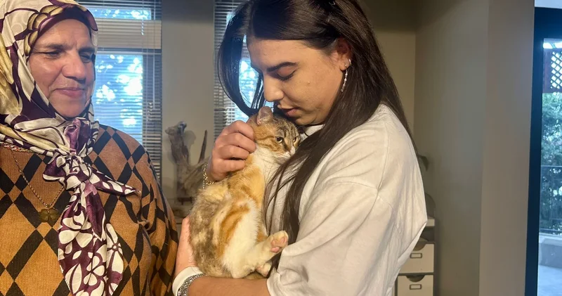 Depremzede kedi Defne ye 2 yıl sonra yuva