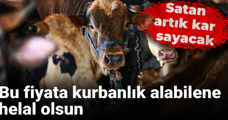 Bu fiyata kurbanlık alabilene helal olsun: Satan artık kar sayacak