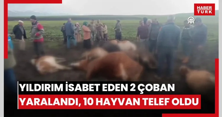 Yıldırım isabet eden 2 çoban yaralandı, 10 büyükbaş hayvan telef oldu